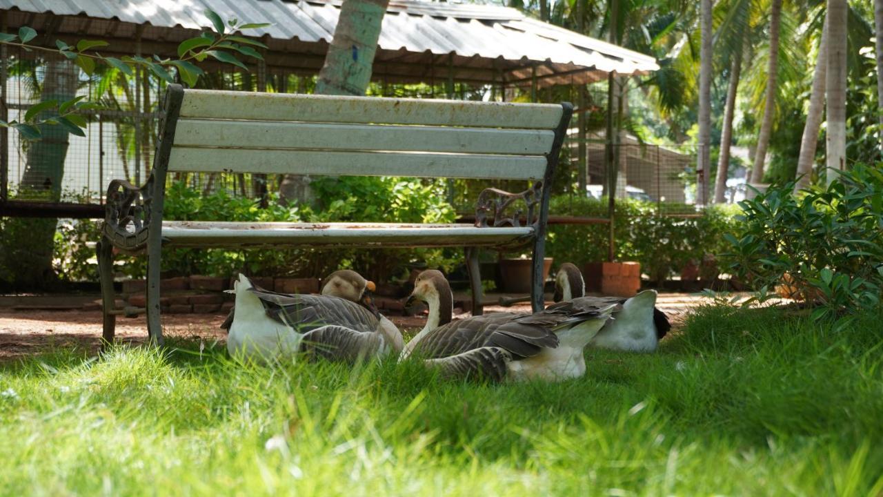 Rk Resorts Karaikal Ngoại thất bức ảnh
